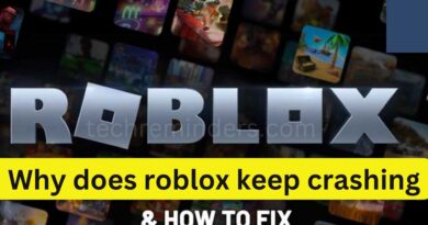Why does roblox keep crashing